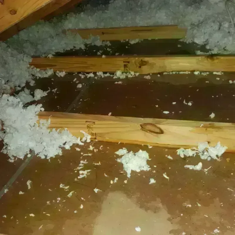 Attic Water Damage in Channing, TX