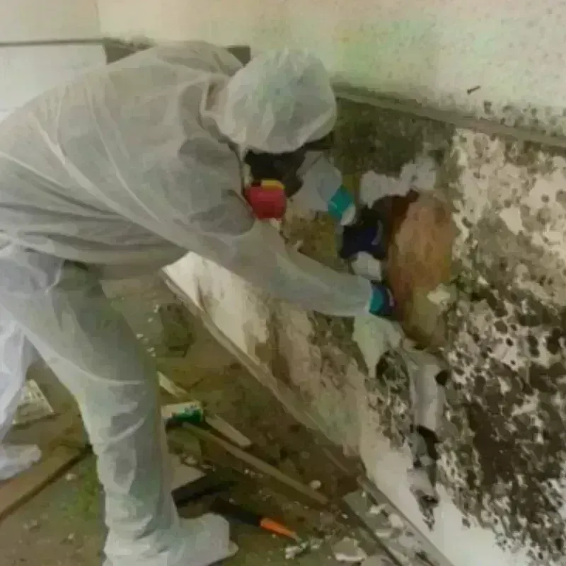 Mold Remediation and Removal in Channing, TX