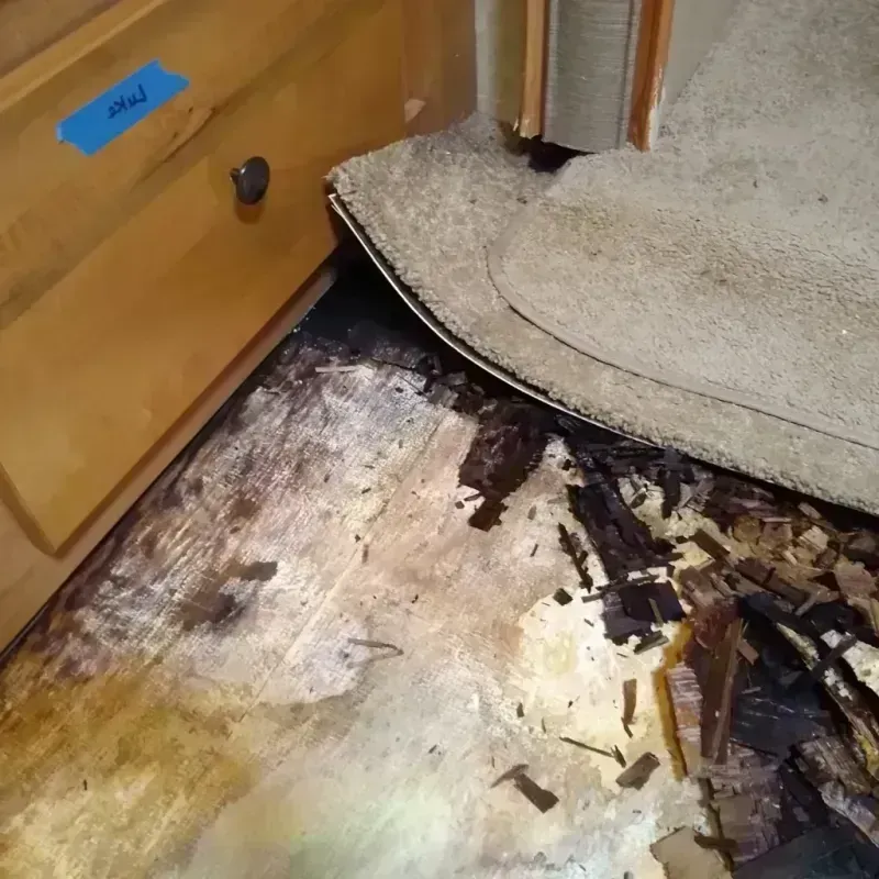 Wood Floor Water Damage in Channing, TX